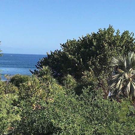 Ocean Garden Διαμέρισμα La Saline Le Bains Εξωτερικό φωτογραφία
